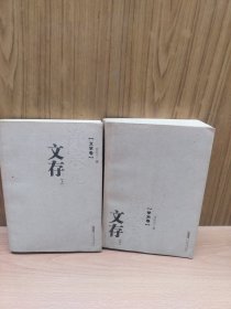 许宗元文存（上下）