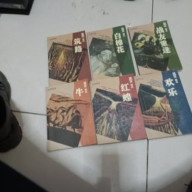 彩绘名著·莫言精品 6本