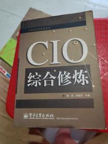 CIO综合修炼