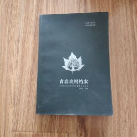 青春戏剧档案