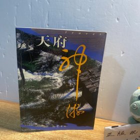 天府神游