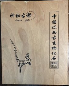 中华鲟鱼古化石（辽宁朝阳，含鉴定证书和木盒）