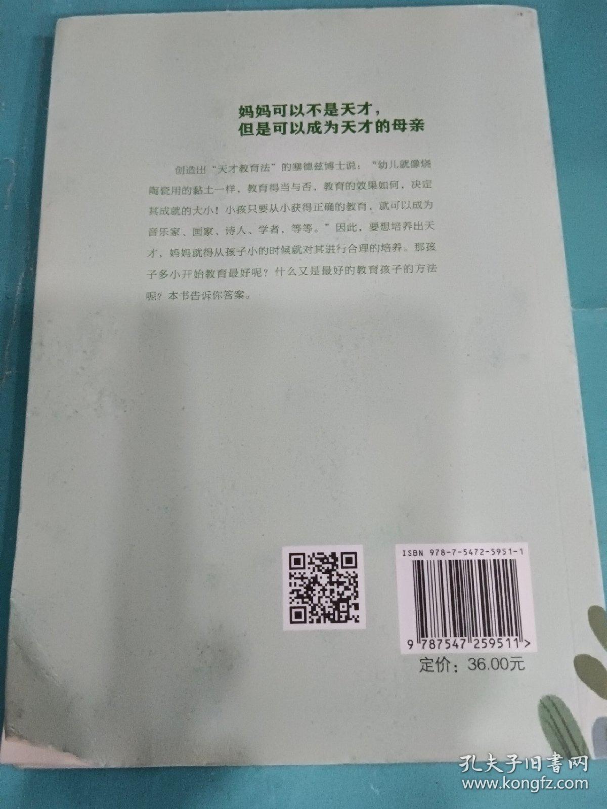 妈妈的情绪，决定孩子的未来（32开平装）