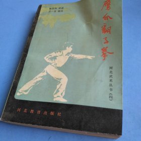 河北武术丛书（四）鹰爪翻子拳