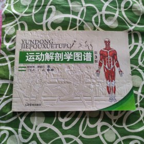 运动解剖学图谱