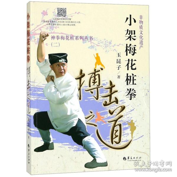 小架梅花桩拳 搏击之道之道 