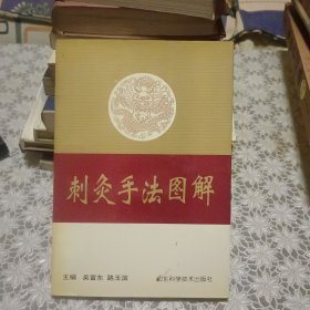 刺灸手法图解【原版书 照片实拍】