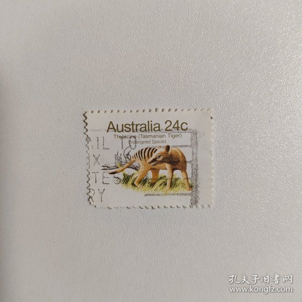 外国邮票 澳大利亚邮票1981年野生小动物 信销1枚 如图瑕疵