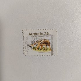 外国邮票 澳大利亚邮票1981年野生小动物 信销1枚 如图瑕疵