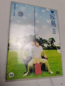 DVD光盘-电影 候鸟 (单碟装)无划痕