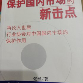 保护国内市场的新击点:再论入世后行业协会对中国国内市场的保护作用