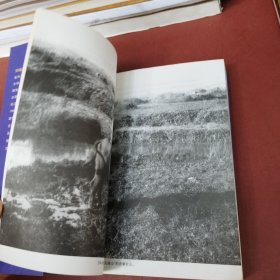 帝国的回忆 《纽约时报》晚清观察记（实物拍摄）