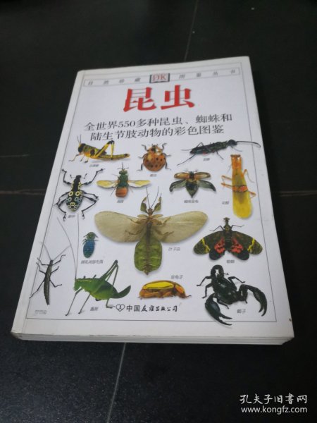 昆虫：全世界550多种昆虫、蜘蛛和陆生节肢动物的彩色图鉴