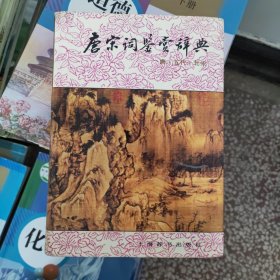 唐宋词鉴赏辞典(唐五代北宋)