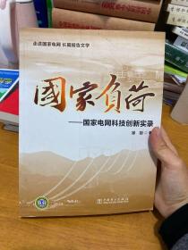 国家负荷：国家电网科技创新实录