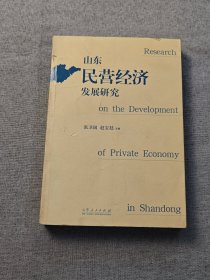 山东民营经济发展研究