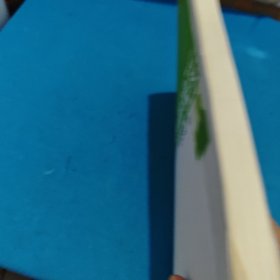 幻想即现实（包邮）