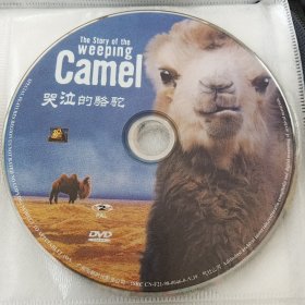 DVD 哭泣的骆驼