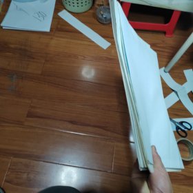 初级中学课本动物学教学挂图：节肢动物门昆虫纲（9张合售）