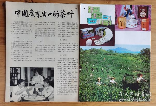 广东出口茶叶-西岩铁观音/清凉山绿茶/普洱茶广告