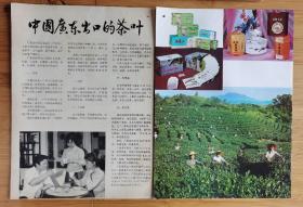 广东出口茶叶-西岩铁观音/清凉山绿茶/普洱茶广告