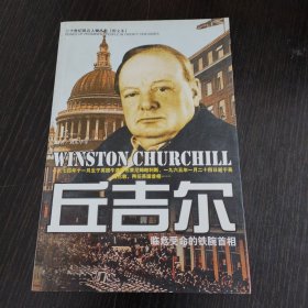 丘吉尔（上册）