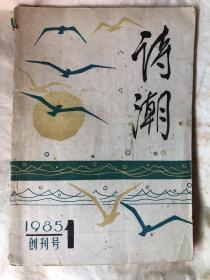 诗潮（1985年第一期创刊号）