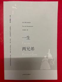 译文 名著文库：一生两兄弟