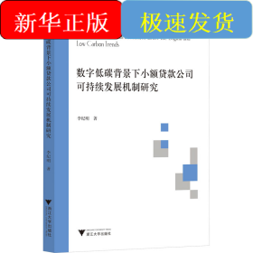 數(shù)字低碳背景下小額貸款公司可持續(xù)發(fā)展機(jī)制研究