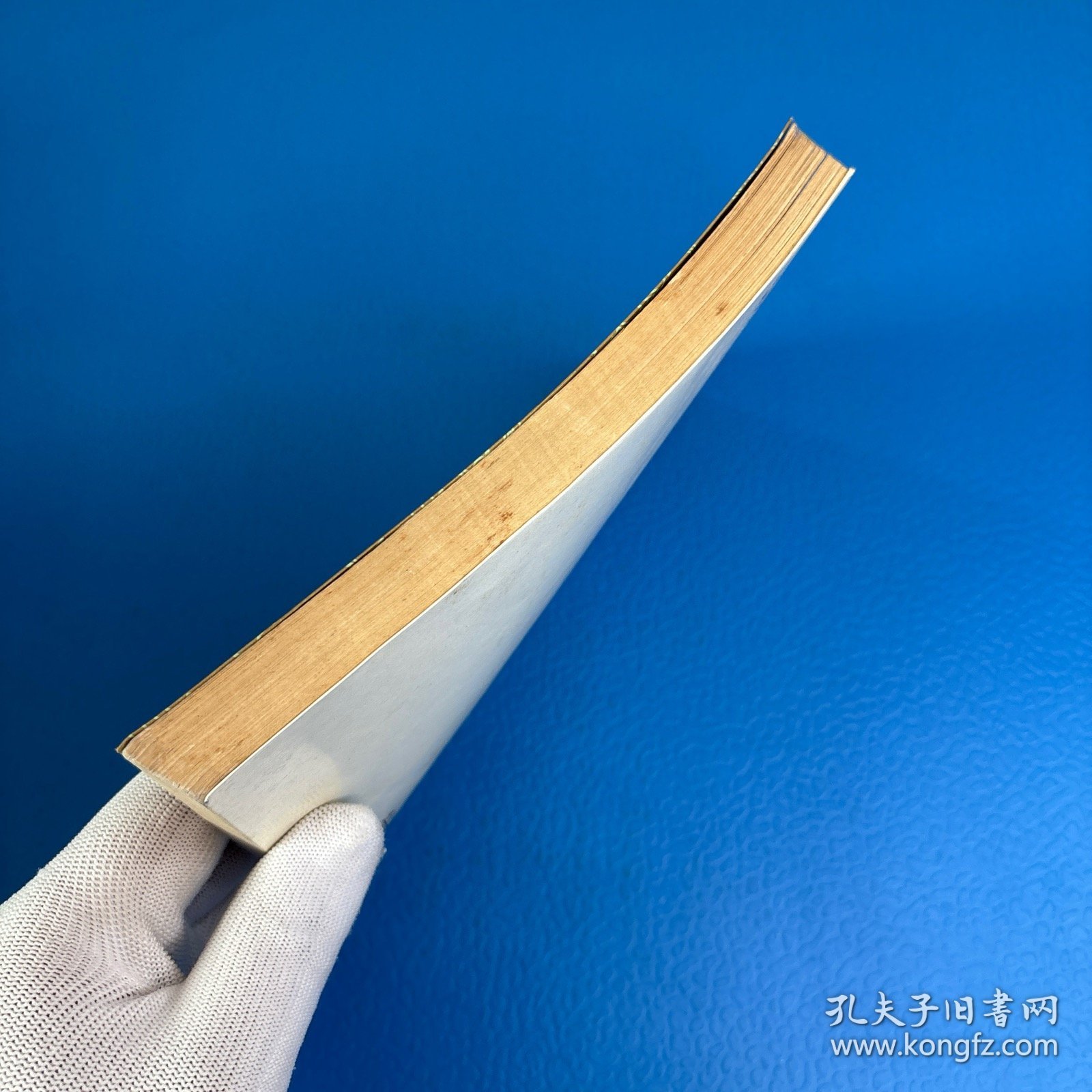 三十种病治验录