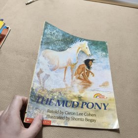 THE MUD PONY 英文绘本
