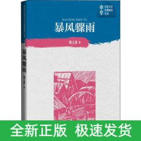 暴风骤雨