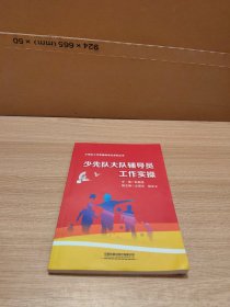 少先队大队辅导员工作实操/少先队工作实操标准化系列丛书