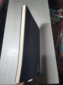 壮医病证诊疗规范/中国东盟传统医药文库