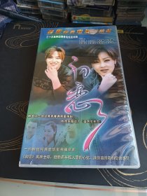 DVD 初恋 34片装完整版