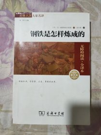 经典名著 大家名译：钢铁是怎样炼成的（无障碍阅读 全译本 素质版）