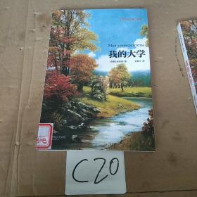 高尔基自传体三部曲：我的大学