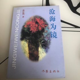 沧海为镜