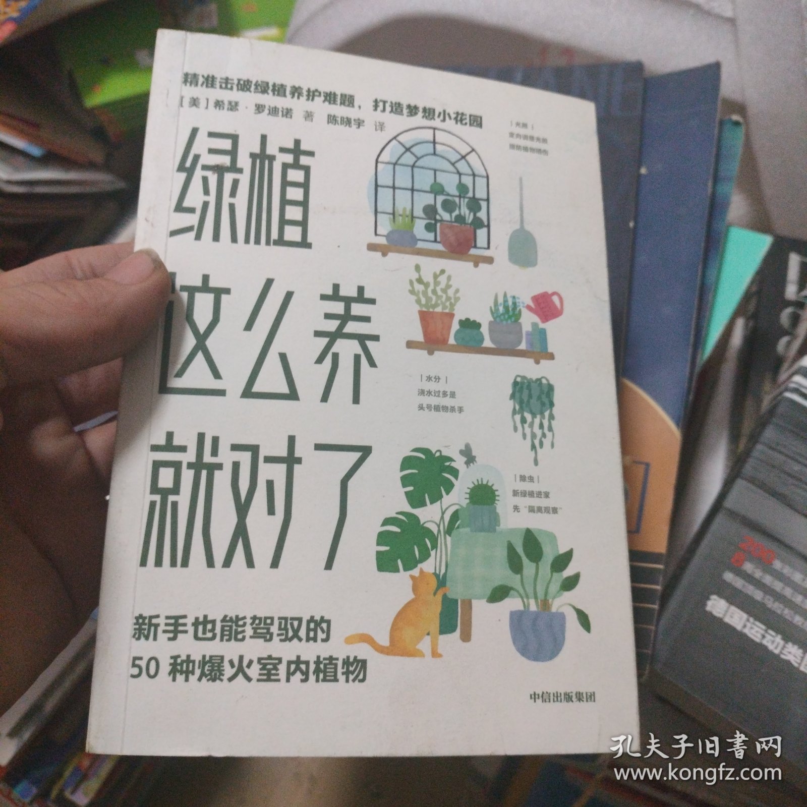 绿植这么养就对了