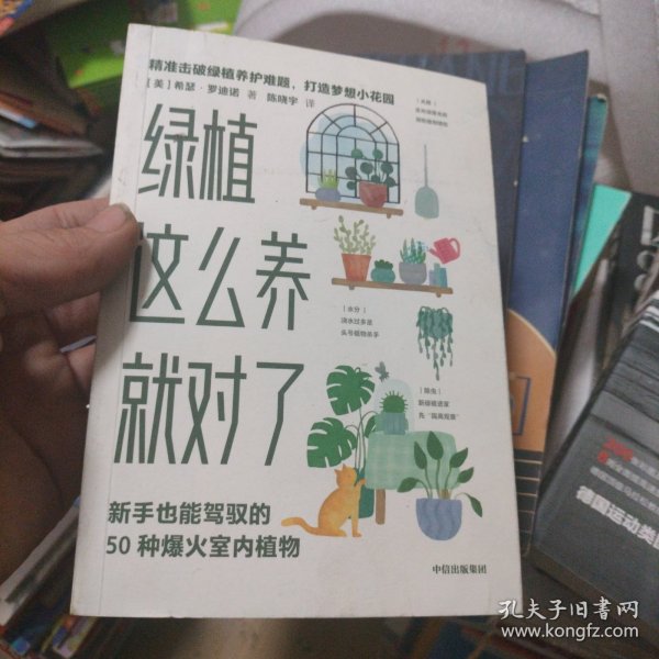 绿植这么养就对了