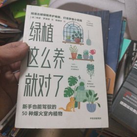 绿植这么养就对了