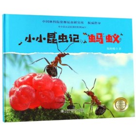 蚂蚁/小小昆虫记 9787533198084