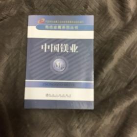 有色金属系列丛书：中国镁业