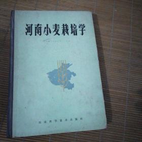 河南小麦栽培学