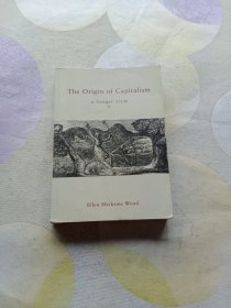 The Origin of Capitalism：A Longer View