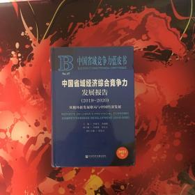 中国省域经济综合竞争力发展报告(2019-2020双循环新发展格局与中国经济发展2021版)(精