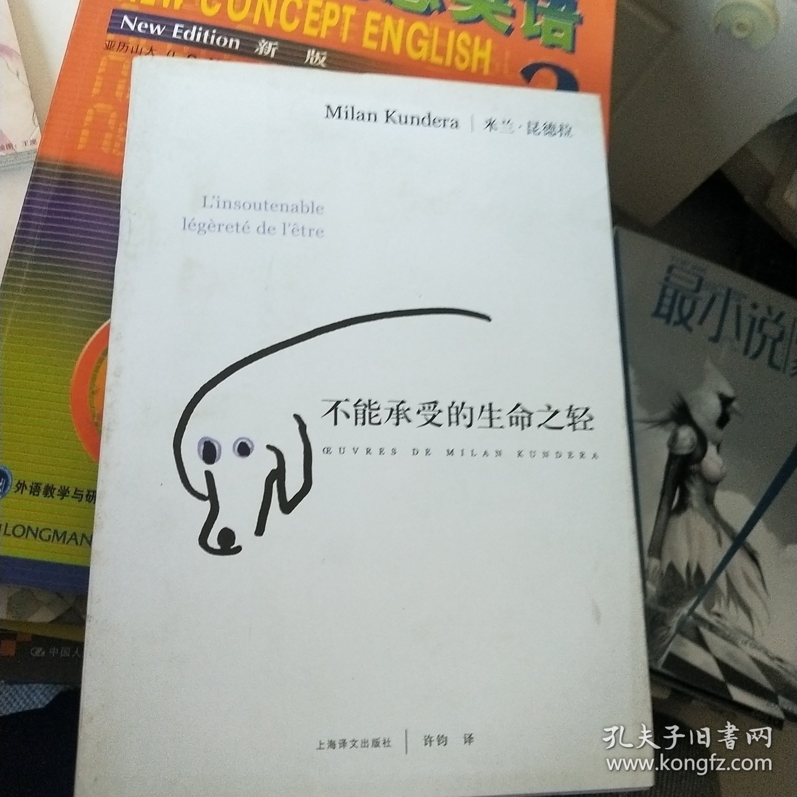 不能承受的生命之轻