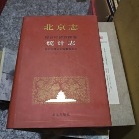 北京志统计志