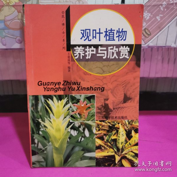 观叶植物养护与欣赏