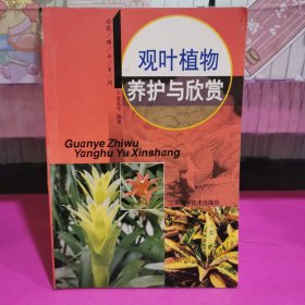 观叶植物养护与欣赏